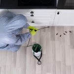 Commercial Cockroach Control